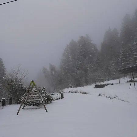 Les Grandes Gouttes *